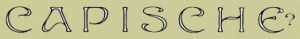 $100 Gift Certificate from Capische? in Wailea